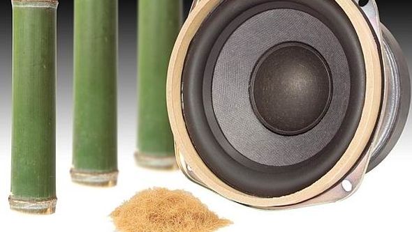 Bamboo Speaker