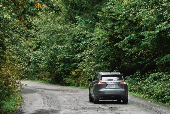 Lexus NX with E-Four all-wheel drive