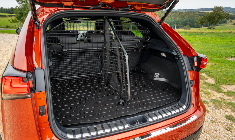 Lexus 2025 dog guard