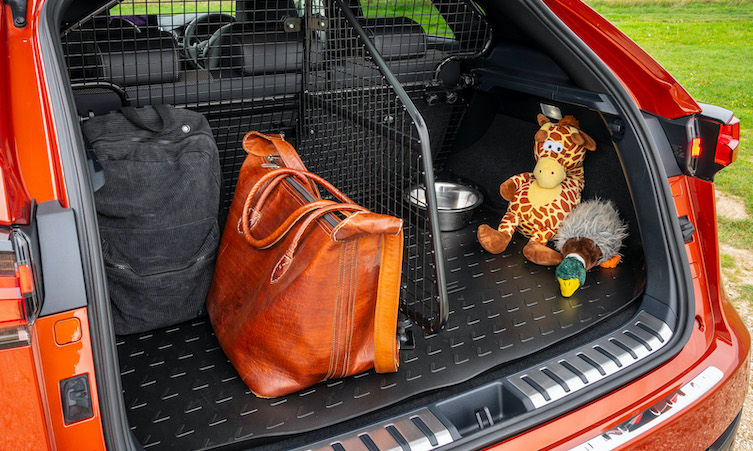 Lexus 2025 dog guard