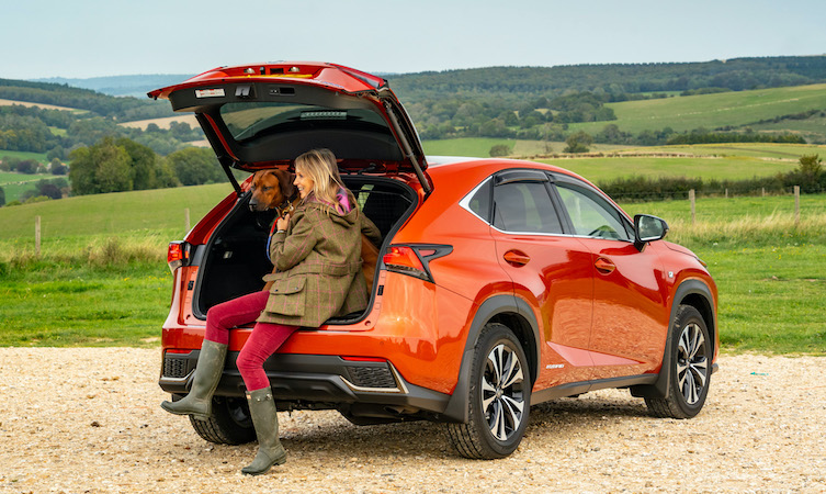 Lexus nx shop dog guard