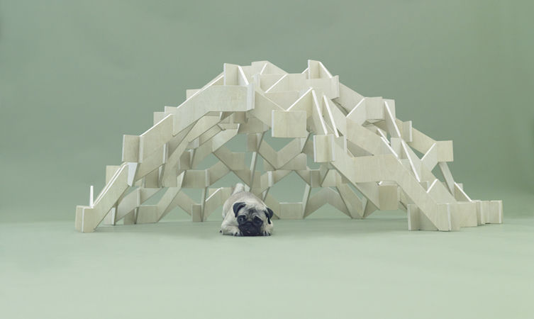 Architecture for dogs