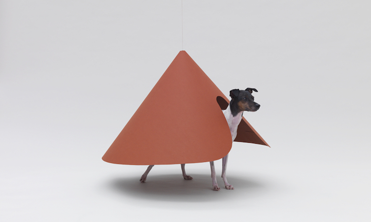 Architecture for dogs