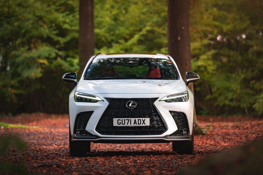 Shinrin-yoku: boosting our 'outdoorphins' with the Lexus NX